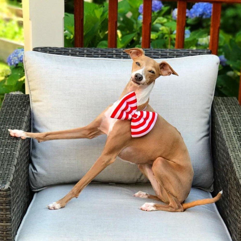 Meet your Posher, Sara